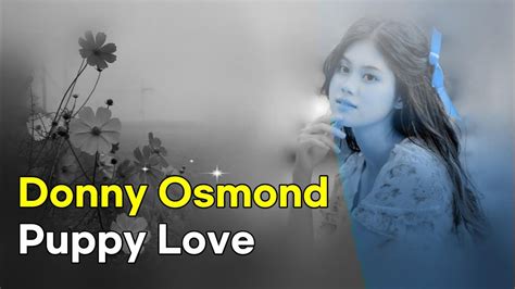 Donny Osmond · Puppy Love (풋사랑)(lyrics 번역가사) - YouTube