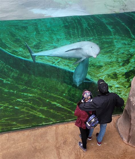 Mississippi Aquarium: Ticket Prices, Hours and Things to Know – Dang Travelers