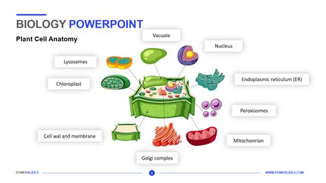 Biology PowerPoint Template | 7,000+ Templates | PowerSlides™