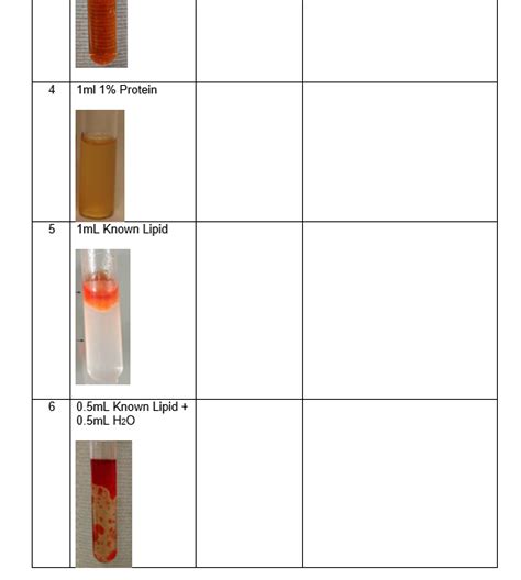 Solved Sudan IV is a dye that will only stain lipids red. If | Chegg.com