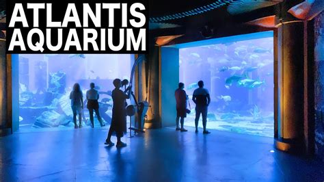 ATLANTIS - The Lost Chambers Aquarium Complete Tour | 4K | Dubai ...