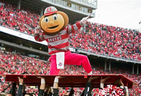 What exactly is a Buckeye, and why is it Ohio State's mascot? - al.com