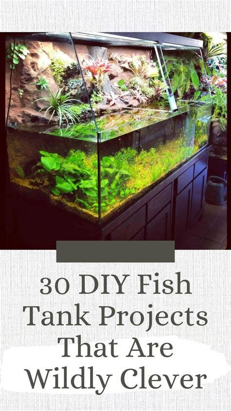 30 diy fish tank projects to transform your room into a tropical paradise – Artofit