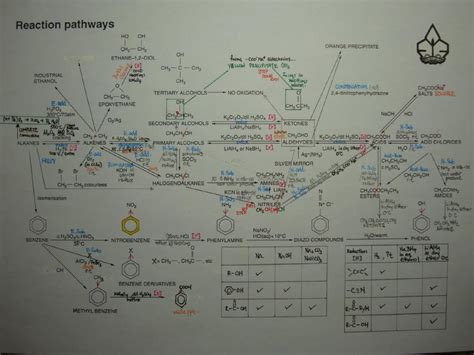 Organic Chemistry Mind Map - ChristianminHester