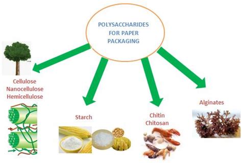 Polysaccharides Foods