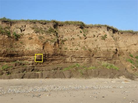 EAST YORKSHIRE COASTAL EROSION - BARMSTON