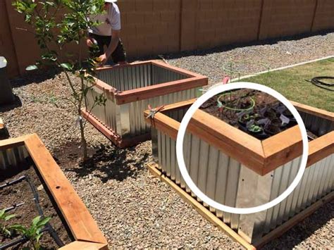 DIY Raised Garden Beds with Corrugated Metal