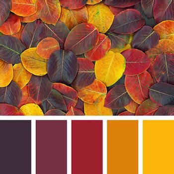 Color Palette Challenge by MrHansenArt | Teachers Pay Teachers