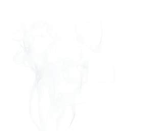 clear png PNG image with transparent background | TOPpng