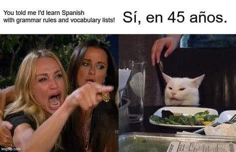 Explained: Funny Memes in Spanish | Spring Languages