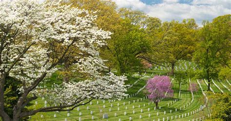 Arlington National Cemetery Facts and History