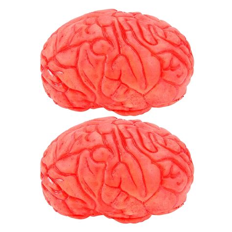 said 2Pcs Fake Human Brains Fake Body Parts Halloween Party Props Fake Body Organs - Walmart.com