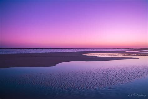 Photo gratuite de arrière-plan rose, beauté dans la nature, paysage