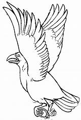 Crow coloring  Free Animal Pages Sheets sketch template