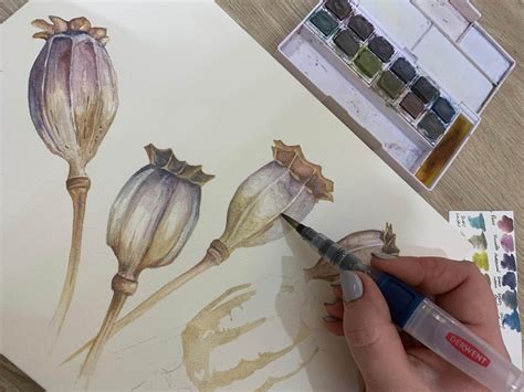 Using Graphitint Paint | Watercolor flowers tutorial, Painting, Botanical drawings