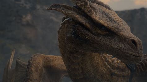 All of the Dragons in HBO Max's 'House of the Dragon' — So Far