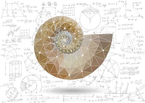 Mathematical Masterpieces: Making Art From Equations | Math art, Geometry art, Geometry