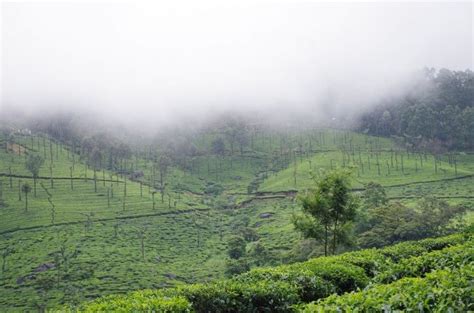 Hill Station Munnar is Freezing in Cold, Find Out the Breathtaking Pictures