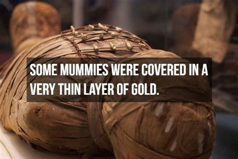 Interesting Facts About Mummies | Others