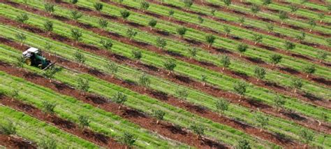 Israel Leads the Way in Agricultural Technology | United with Israel