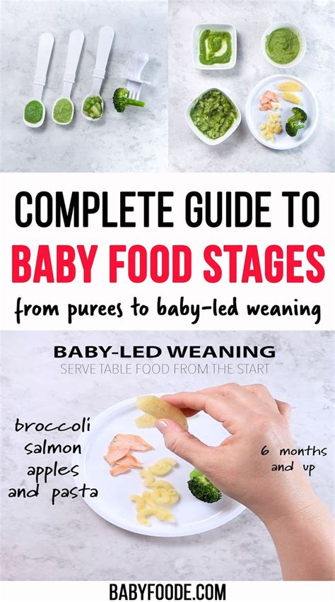 Guide to Baby Food Stages (Purees and BLW) - Baby Foode [Video] [Video ...