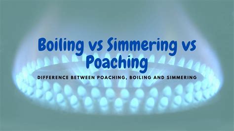 Poaching vs Simmering vs Boiling : Key Difference in Cooking Methods - Youshouldlisten.com