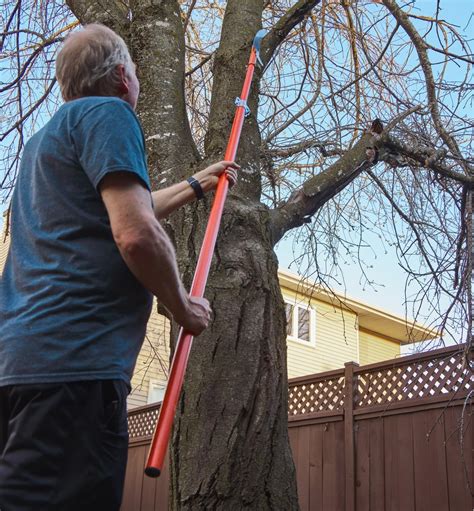 Different Types Of Pole Pruners And How To Choose One, 49% OFF