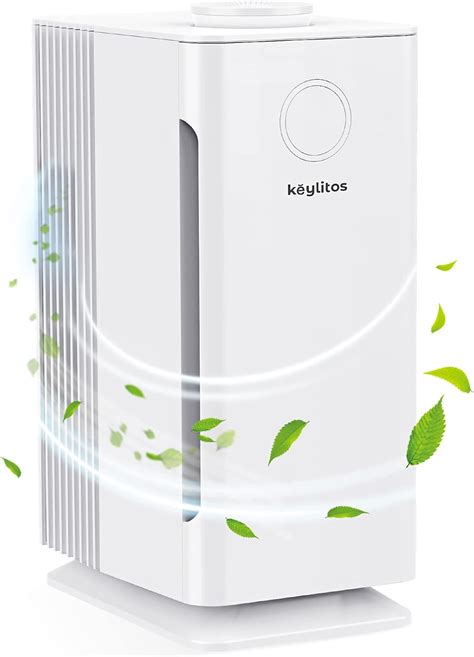 10 Best Air Purifier for Mold and Dust Mites 2022