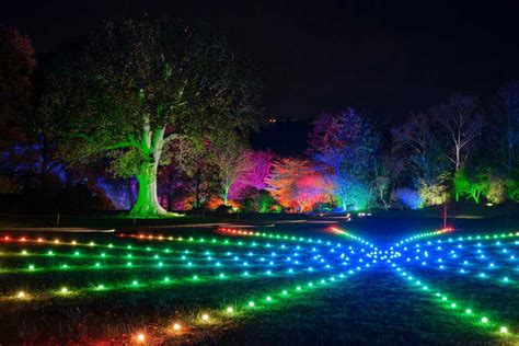 RHS Glow Winter Illuminations at RHS Rosemoor | Festive Garden Light ...