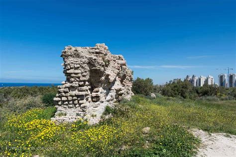 Ashkelon National Park - Visitors Guide