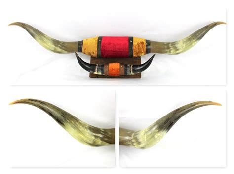 Vintage Pair of Bull Horns, Twin Mounted Bull Horns, 3 FT, 7 IN | Bull horns, Horns, Pairs