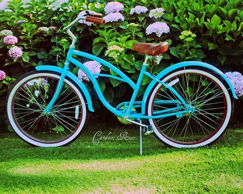 Turquoise Beach Cruiser Amongst The Hydrangeas - 8 x 10 | Beach cruiser ...