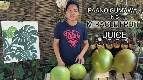 Paano lutuin ang miracle fruit - YouTube