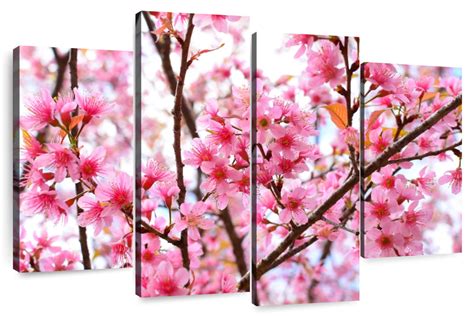 Oriental Cherry Blossom Wall Art | Photography