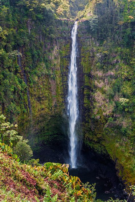 Akaka Falls - The Big Island Hawaii Photograph by Brian Harig