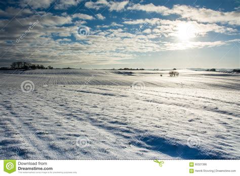 Danish winter landscape IV stock photo. Image of field - 65321386