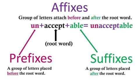 Prefixes & suffixes