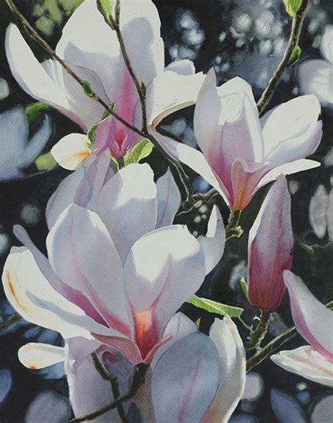 Magnolia | Flower art painting, Watercolor flowers, Flower painting