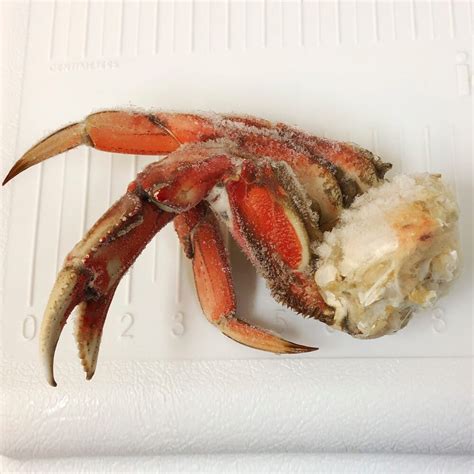 Frozen Colossal Dungeness Crab Legs | The Shrimp Net Fish Fresh Seafood ...