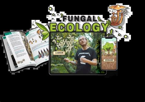 Fungal Ecology – Fungi Academy