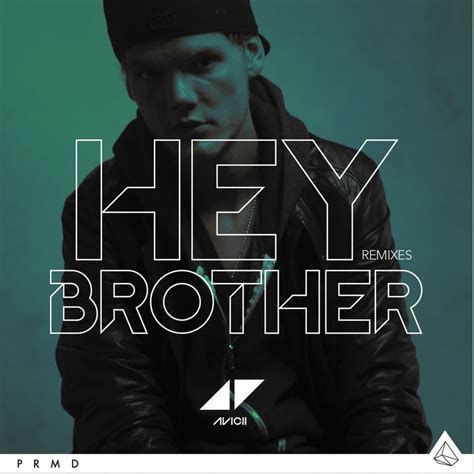 Avicii – Hey Brother (Extended Version) Lyrics | Genius Lyrics