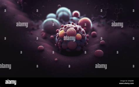 Nanoparticles destroying cancer cells, nanoparticles cancer therapy ...