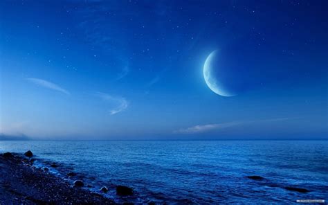 Moonlight Night Wallpaper (59+ images)