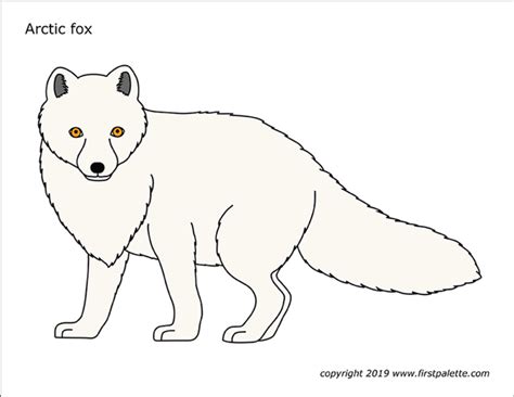 Arctic Fox Printable