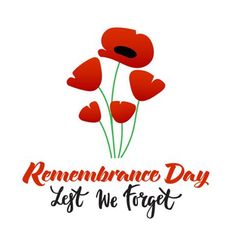 Best Remembrance Day Poppy Illustrations, Royalty-Free Vector Graphics ...