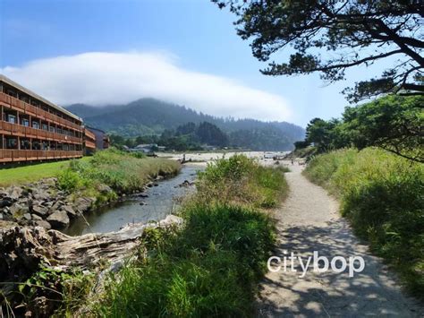 5 BEST Things to Do in Neskowin