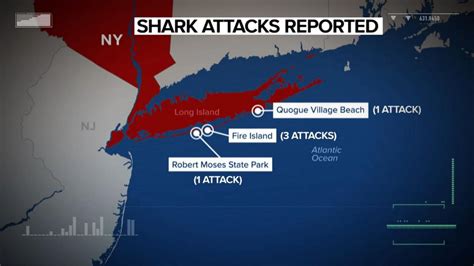 5th suspected shark attack in 2 days off New York coast - Good Morning ...