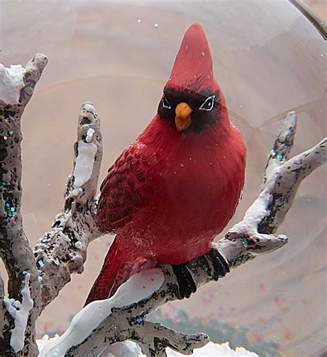 Cardinal Snow Globe by CoolSnowGlobes