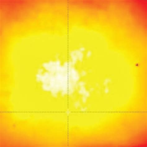 Iodine-125 seed irradiation model in vitro. (a) The I-125 seed... | Download Scientific Diagram