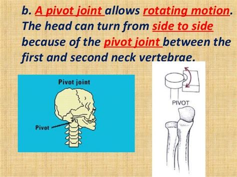 Pivot Joint Neck